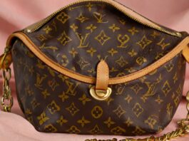 Louis Vuitton Makeup Bag