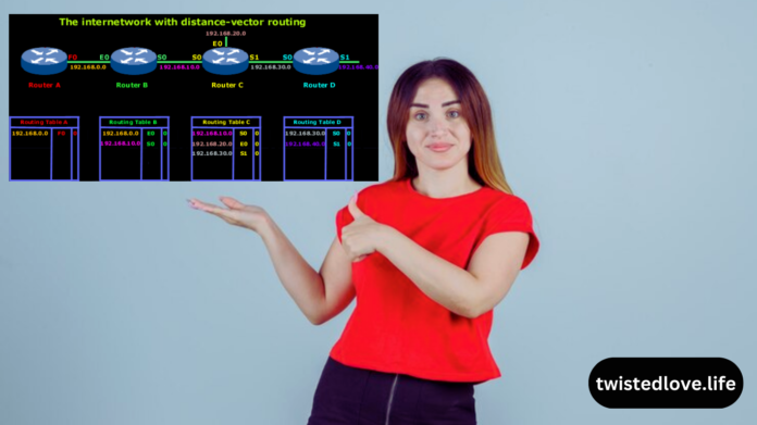 How to Program a Distance Vector Routing Table in C